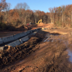 Wetland Remediation