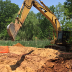 Wetland Remediation