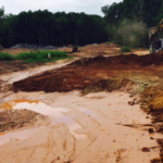 Wetland Remediation