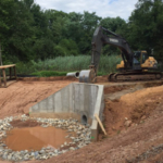 Wetland Remediation